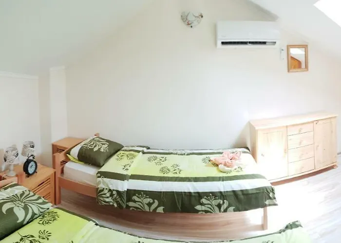 Darko * Svetvinčenat